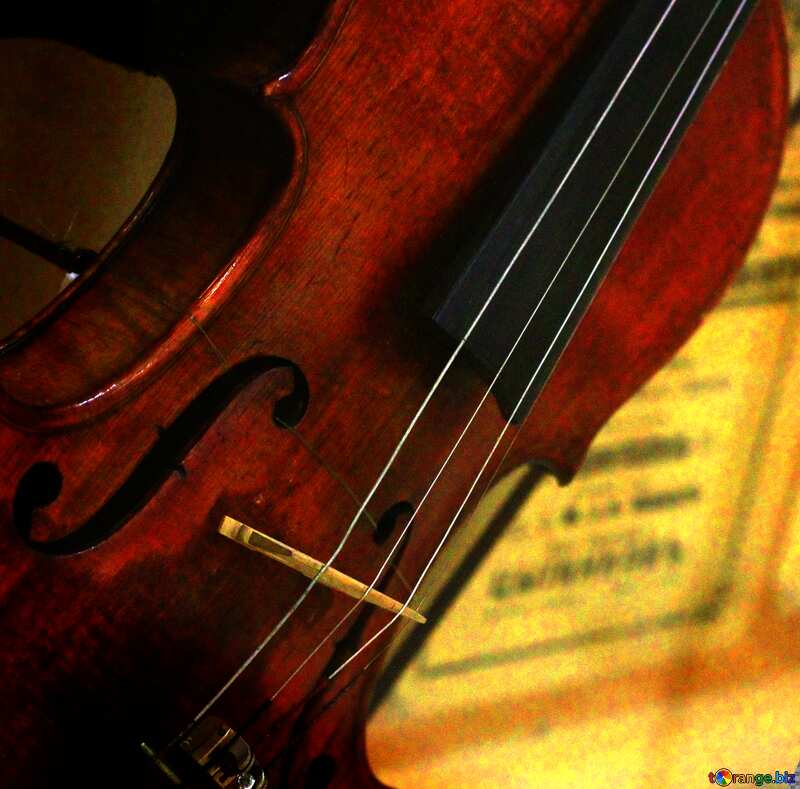 Violin dark background №44204
