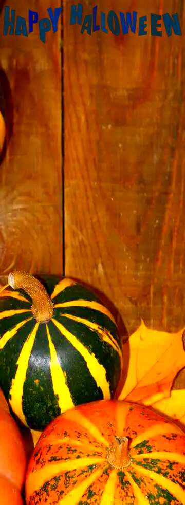 FX №7054 Autumn background with pumpkins happy halloween vertical background