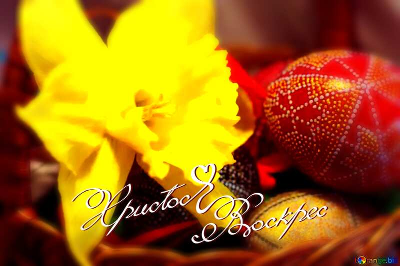 yellow flower and easter eggs with text №29706