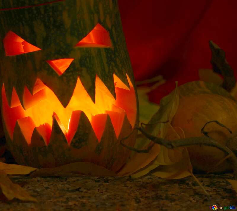  pumpkin scary №24294