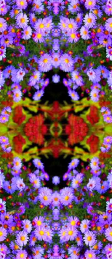 FX №71417 autumn flowers pattern