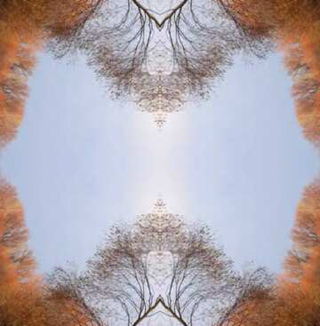 FX №71332 Tree  pattern sky frame