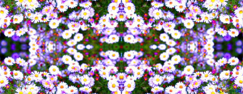  flowers pattern №36159