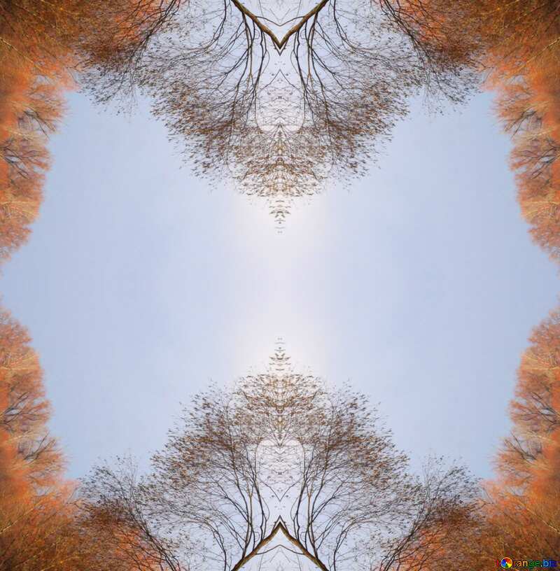 Tree  pattern sky frame №3501