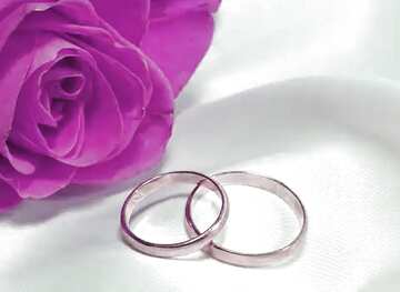 FX №72050 Rose and silver rings