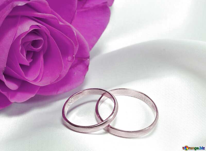 Rose and silver rings №7220