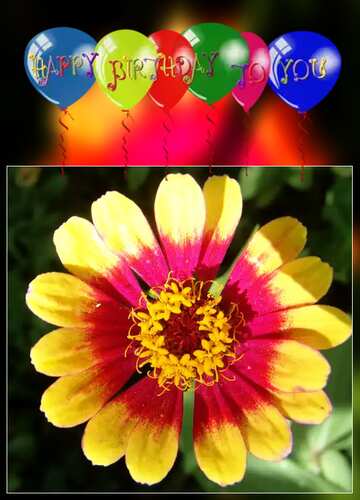FX №73945 Happy birthday card with flower