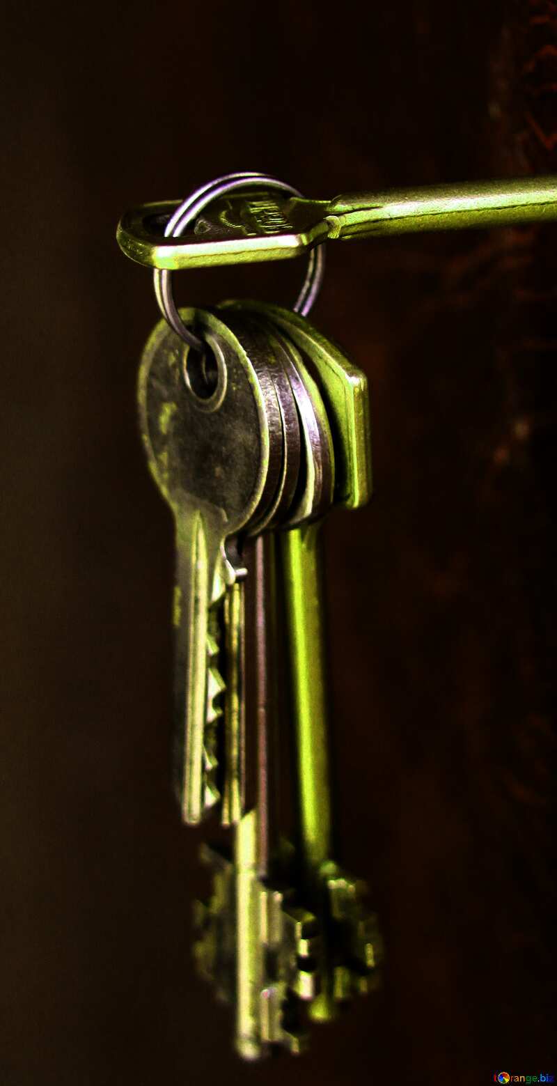 keys in lock  №1695