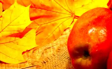FX №75284 Autumn background with apple