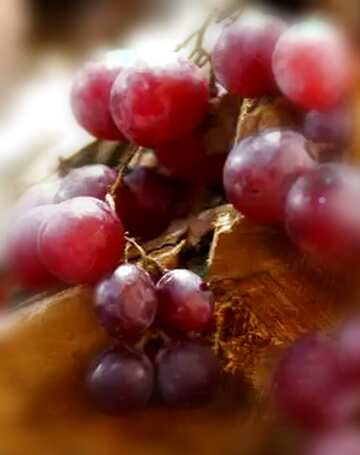 FX №75302 Grapes