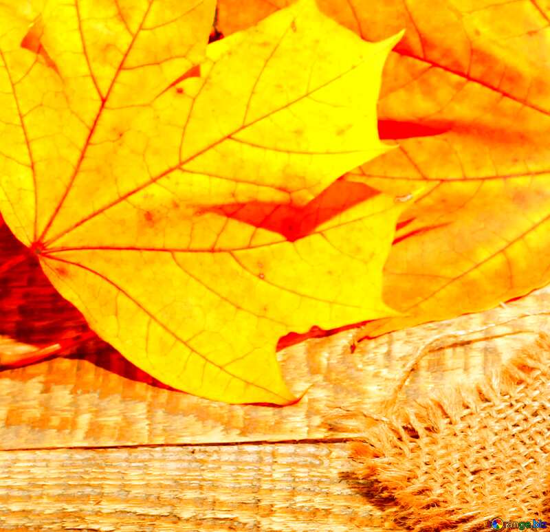 Autumn background №35166