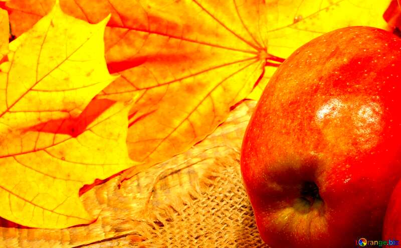 Autumn background with apple №35166