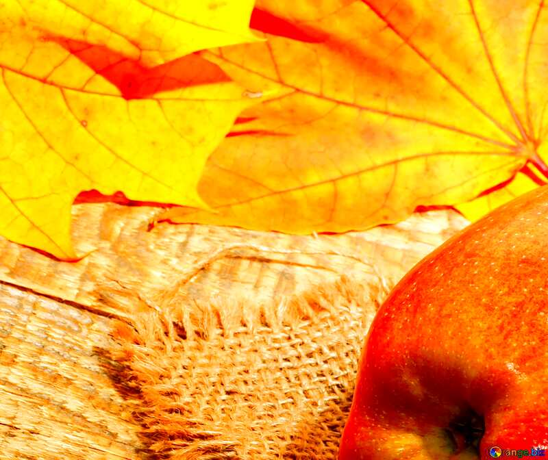 Autumn background apple and leaf №35166