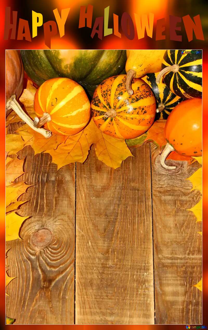 Autumn card pumpkins happy halloween №35229