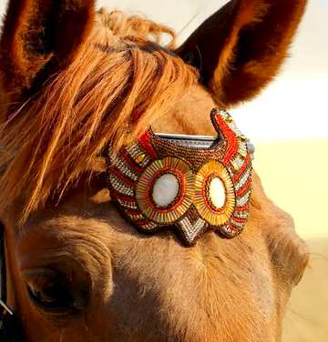 FX №77426 Beaded Browbands