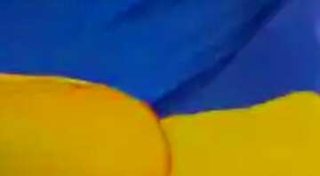 FX №77699 Flag Of Ukraine icon