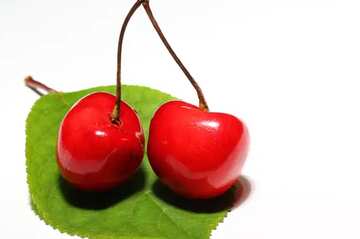 FX №77593  Cherry