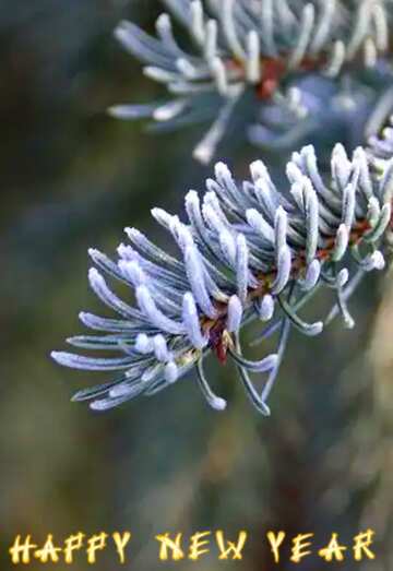 FX №77368 Happy New Year Christmas tree branch 