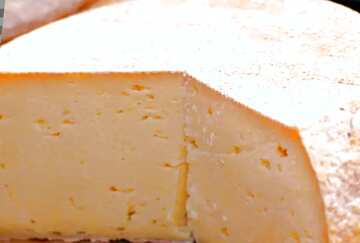 FX №77356 Head farm cheese 