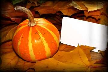 FX №77721 Invitation halloween card