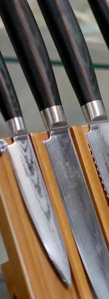 FX №77609 kitchen knives 
