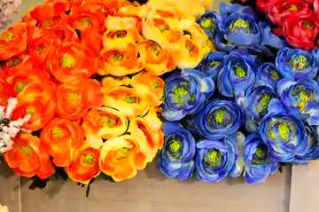 FX №77417  Flower colors