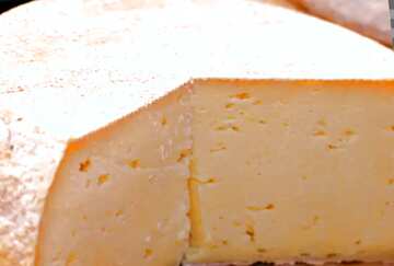FX №77357 Organic cheese 