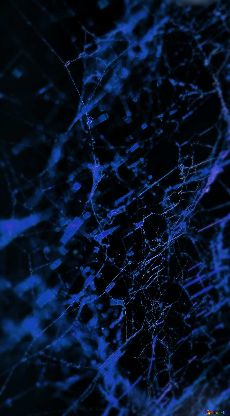 Blue Spider Net №30967