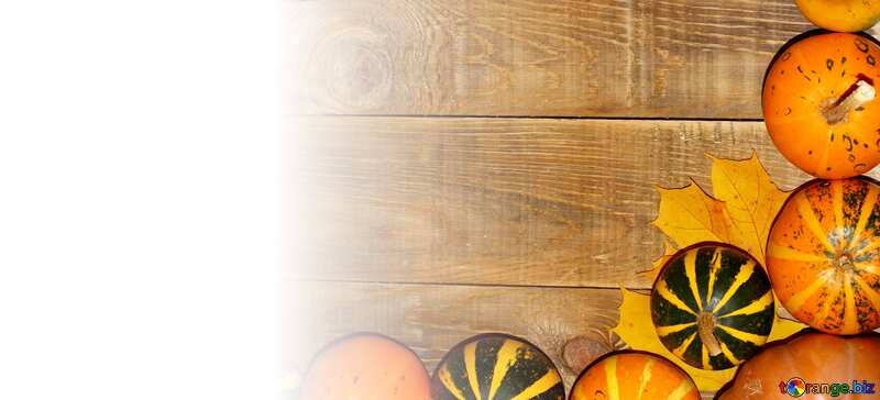 Card Autumn background pumpkins  №35218