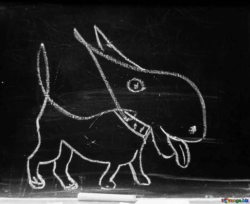 Dog chalk draw №39203