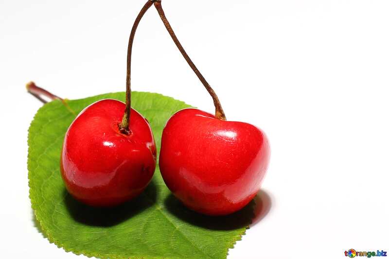  Cherry №33199