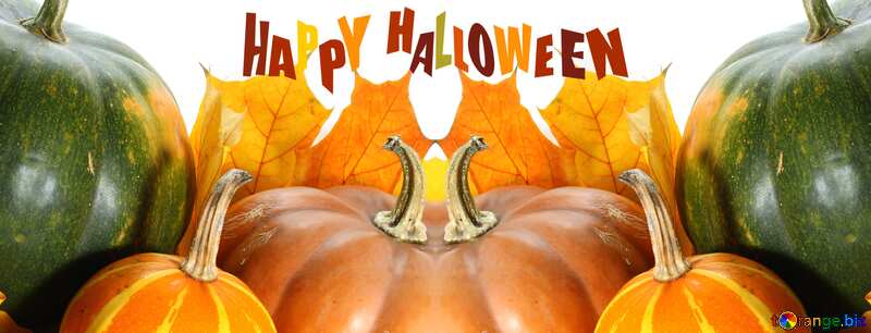 Pumpkin happy halloween card background  №35484