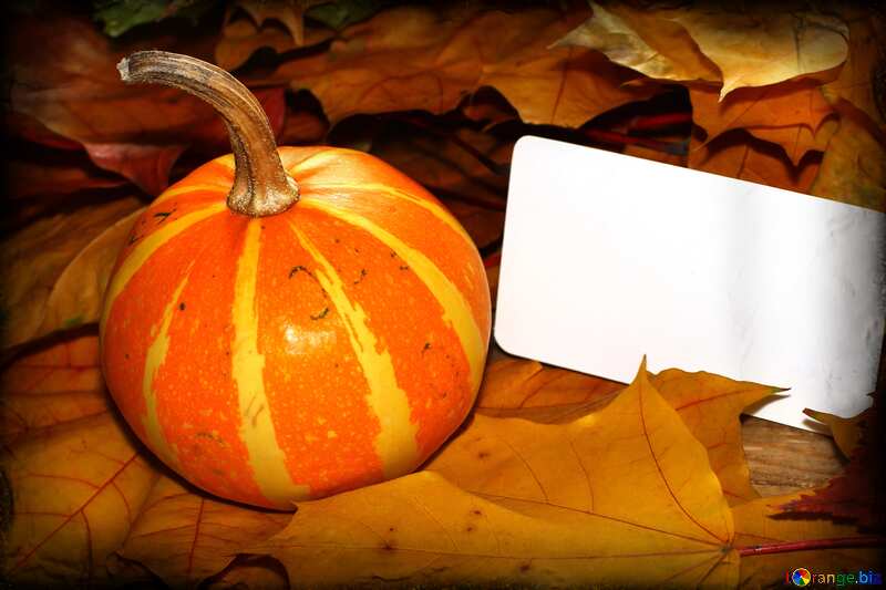 Invitation halloween card №35193
