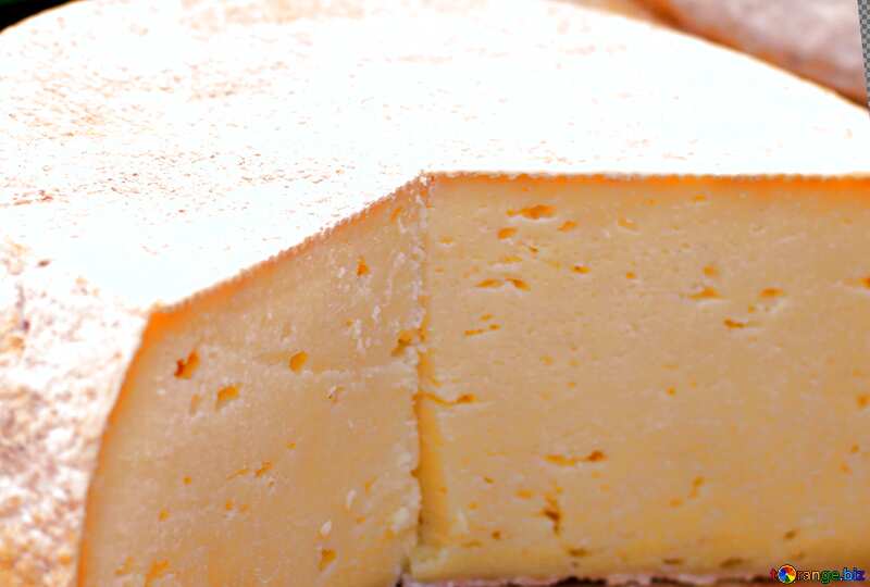 Organic cheese  №47409