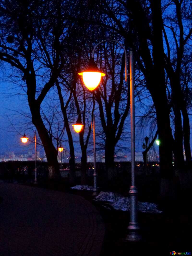 Park Evening lights  №43111
