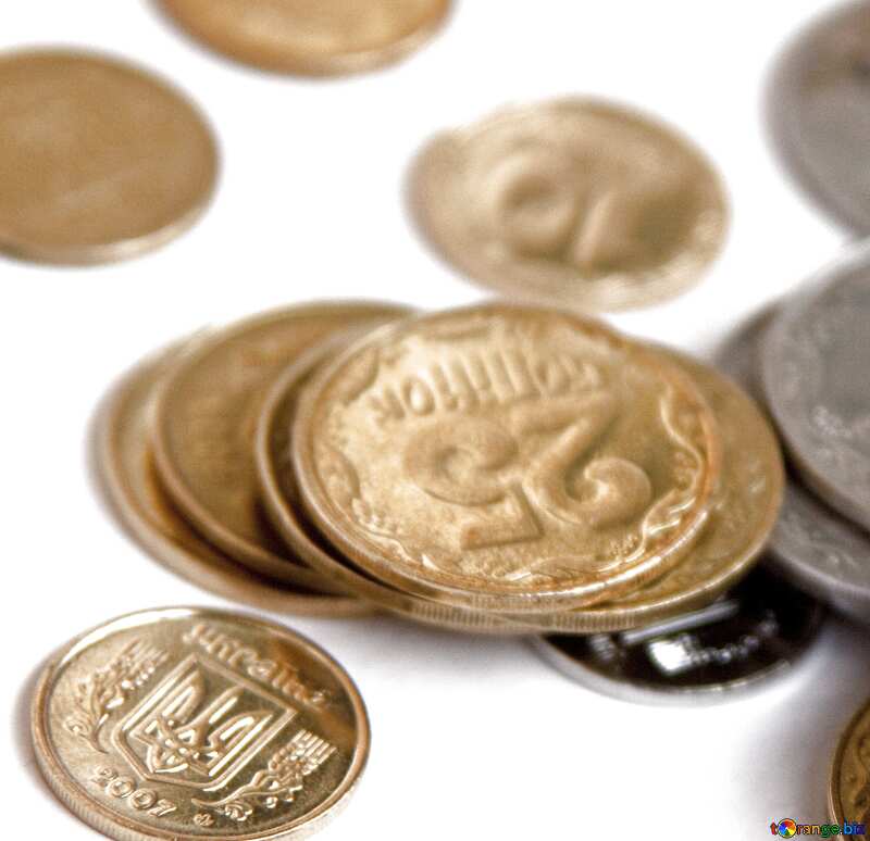 Ukrainian metal  coins    №1565