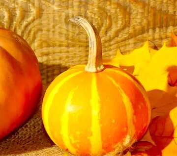 FX №8063 Pumpkins and autumn leaves