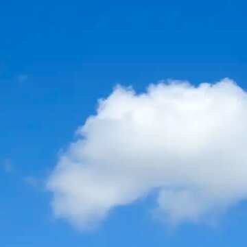 FX №8831 White cloud