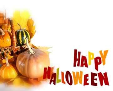 FX №80718 White background with pumpkins isolated happy halloween