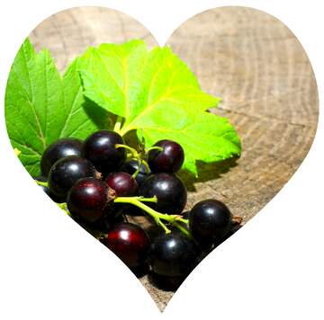 FX №80301 Black currant love heart shaped