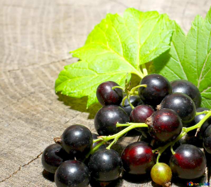 black grape currant №33156