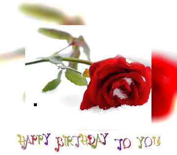 FX №82716 happy birthday  red roses snow card