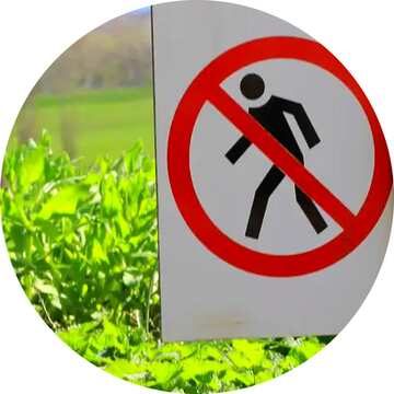 FX №82429 Prohibited to wal on grass