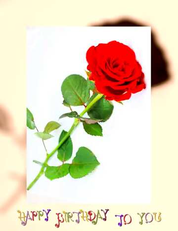 FX №84951 Red beautiful rose happy birthday card