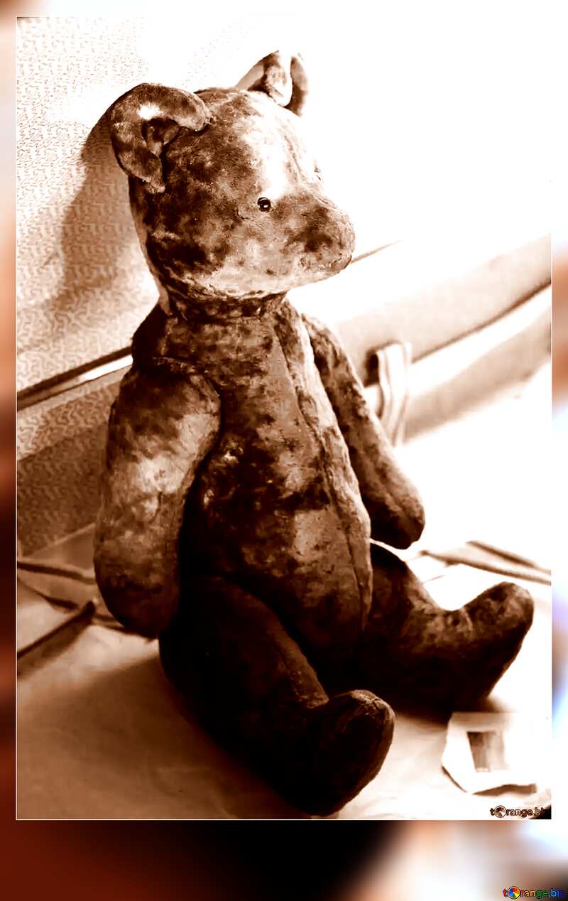Vintage bear toy №33519