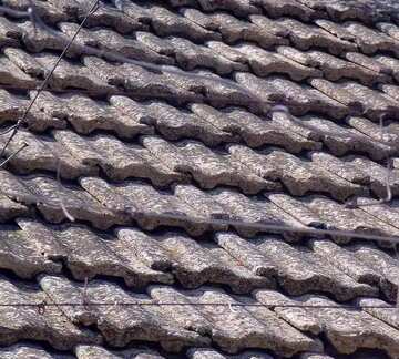 FX №86496 Old tile roof
