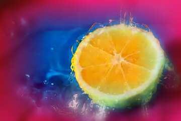 FX №87220 Lemon with pink and blue