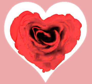 FX №88730 heart rose love background
