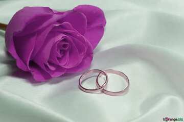 FX №9250 Colore rosso. Rosa e Aggancio anelli..