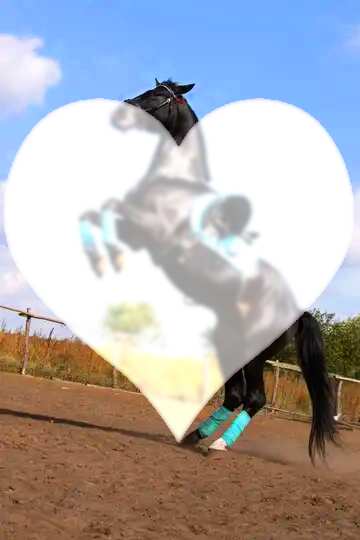 FX №91662 horse with a heart dance